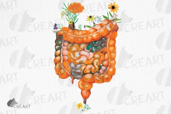 From Medical Sketch to Brand Story: The Prairie Flowers Graphic